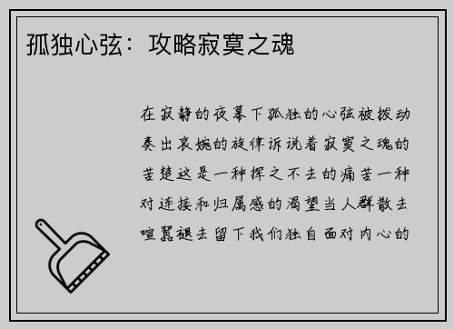 孤独心弦：攻略寂寞之魂